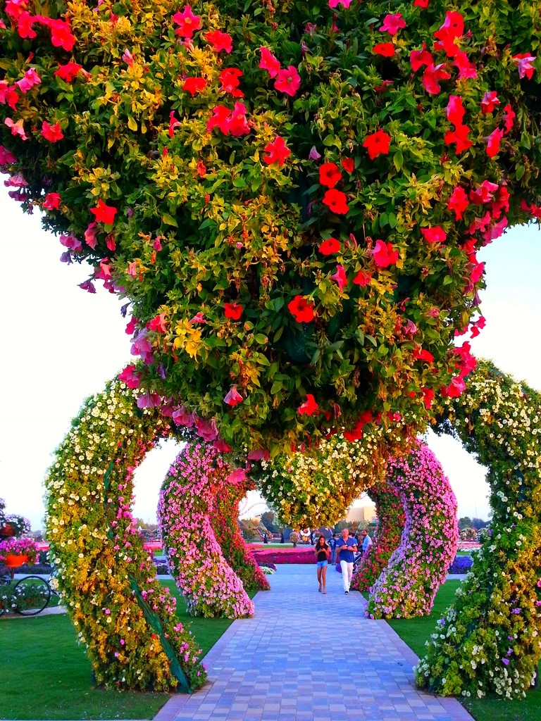 Фантастический  цветочный парк  Дубая Dubai Miracle Garden