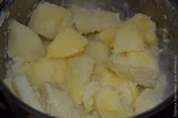 ������ �������