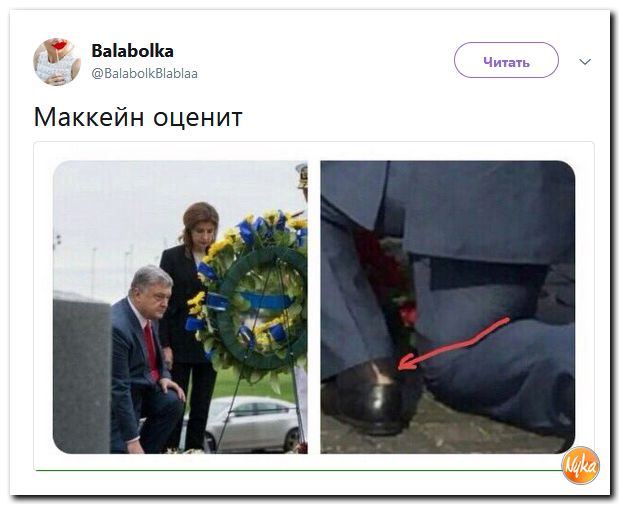 Соцсети жгут! С юмором о злободневном в ехидных скриншотах (политсатира) Соцсети жгут! С юмором о злободневном в ехидных скриншотах (политсатира)