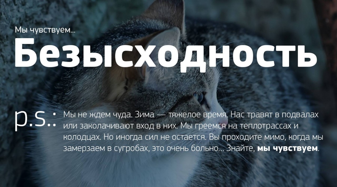 Мы чувствуем