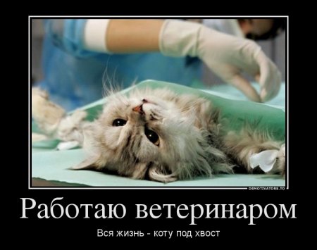 ��������� �������� ������������!