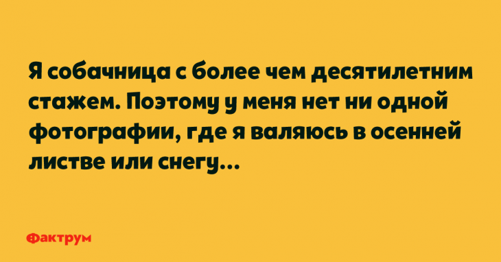 Шутки и остроты для весельчаков Шутки и остроты для весельчаков