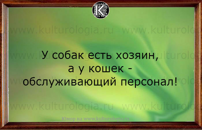 20 весёлых открыток для хорошего настроения, которые улыбнут любого, даже в самый пасмурный день