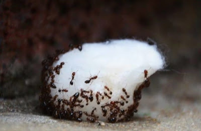 ��� ������� ������ ������ � ��� �������� � ��������� �� � ������ ��������� ��������. ��������� �� �������� ���� �����!