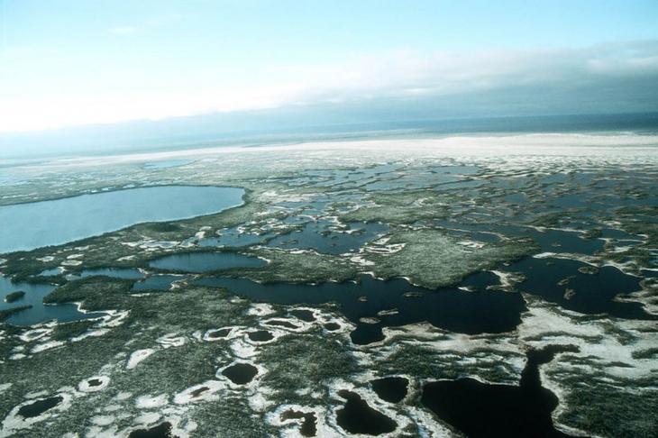 Большие Васюганские болота в Западной Сибири