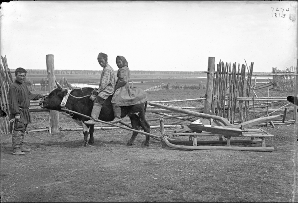 Народности крайнего Севера в России в 1900 году