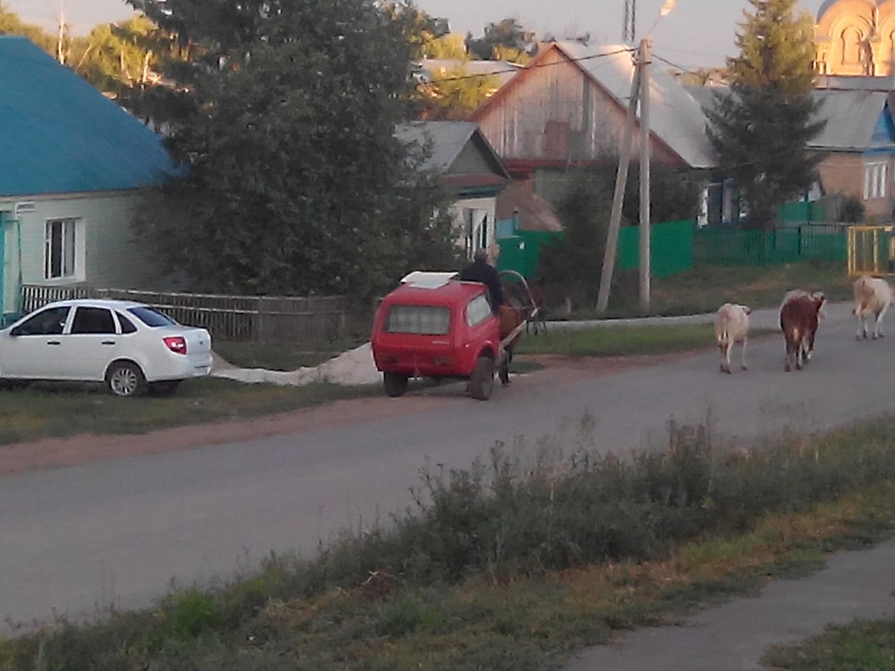 Подборка автоприколов. Часть 148 Подборка автоприколов. Часть 148 автоприколы, приколы