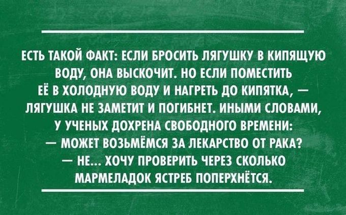 20 жизненных открыток для отличного настроения жизнь, открытки, юмор