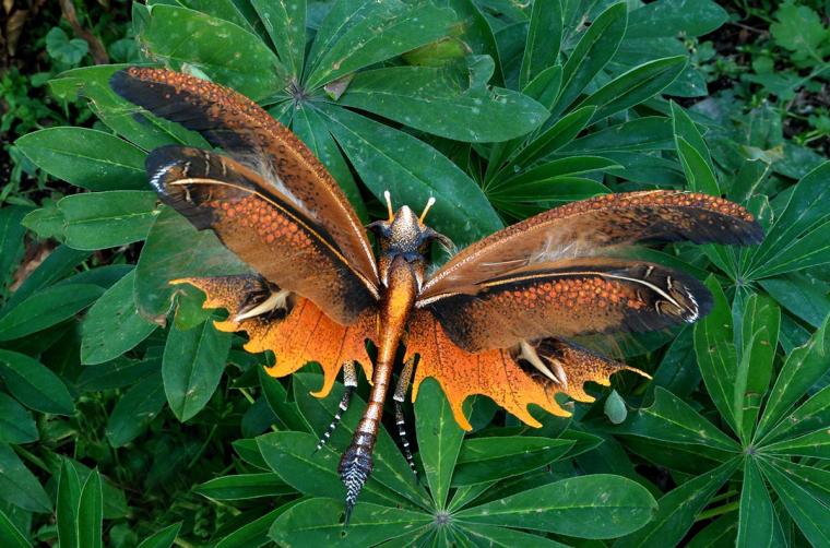 Красота!Рукотворные бабочки из природных материалов!