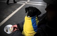 Новости Украины: «Украинцы самый бедный народ».