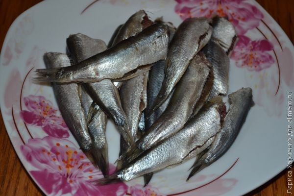 ������ �������