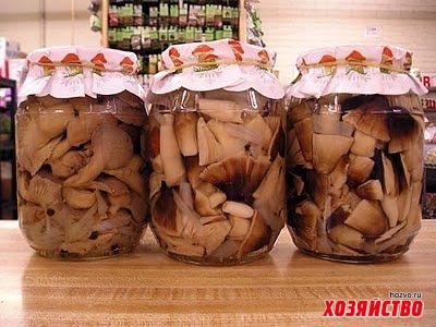 Способы и рецепты хранения белых грибов в домашних условиях в морозилке Как и сколько хранить белые грибы на зиму в домашних условиях правильно