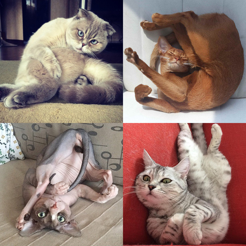   8.  .   . , , , 