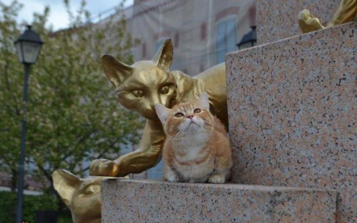 И кошки тоже приходят в гости в этот сквер. / Фото: www.munchkin-cat.ru И кошки тоже приходят в гости в этот сквер. / Фото: www.munchkin-cat.ru