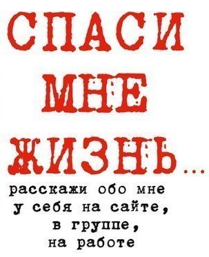 Три славных малыша живут под машинами.. Есть выбор взять котят на время или пройти мимо..