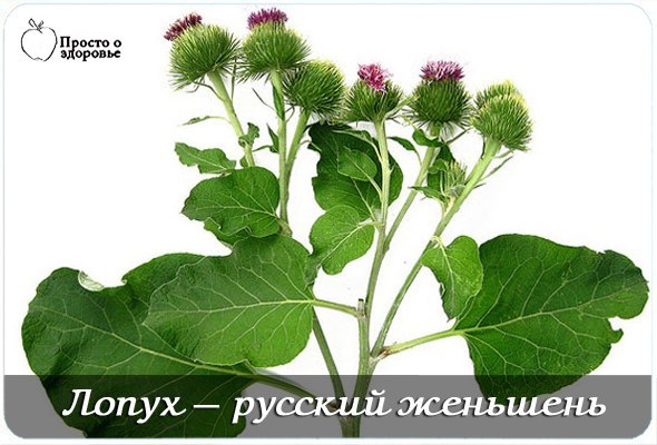 Ольга бутакова лекции о псориазе - Псориаз