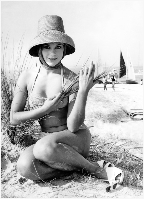 Elke Sommer Elke Sommer