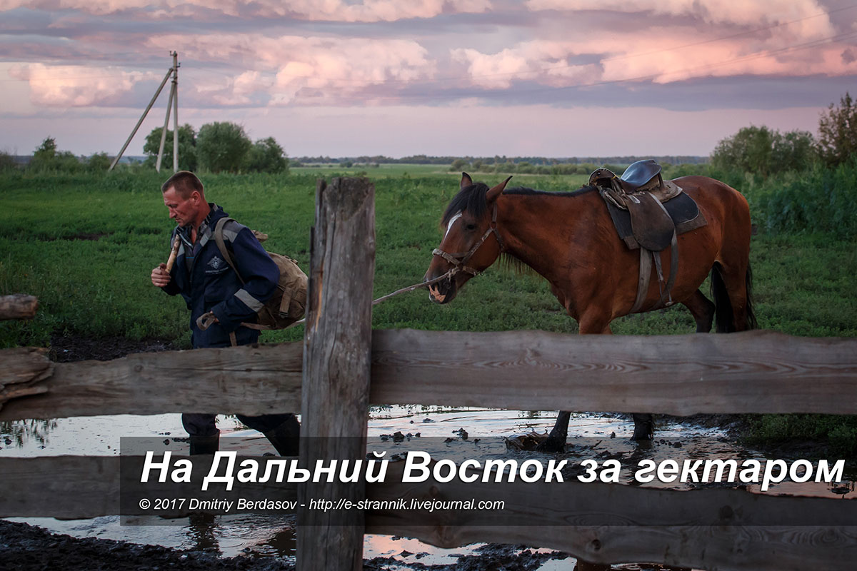 На Дальний Восток за гектаром