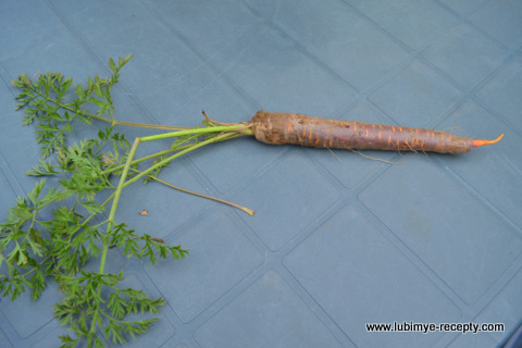 Ассорти на зиму 4