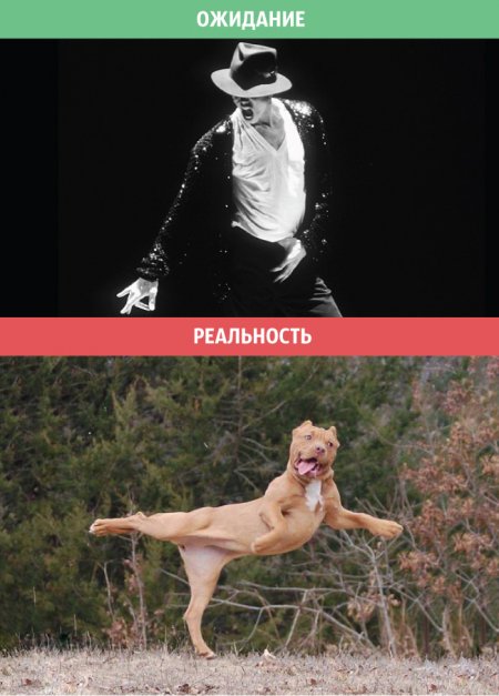 Ожидания vs реальность. Мужчины)