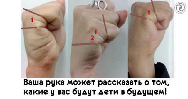 Ваша рука может рассказать о том, какие у вас будут дети в будущем Ваша рука может рассказать о том, какие у вас будут дети в будущем