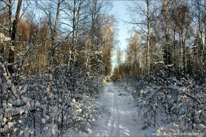 В путь за тайной в зимний лес Original