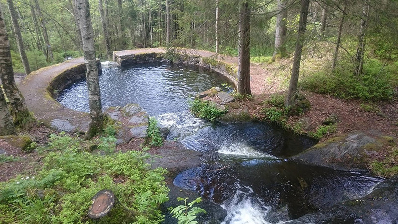 11. Природный бассейн в лесу архитектура, норвегия