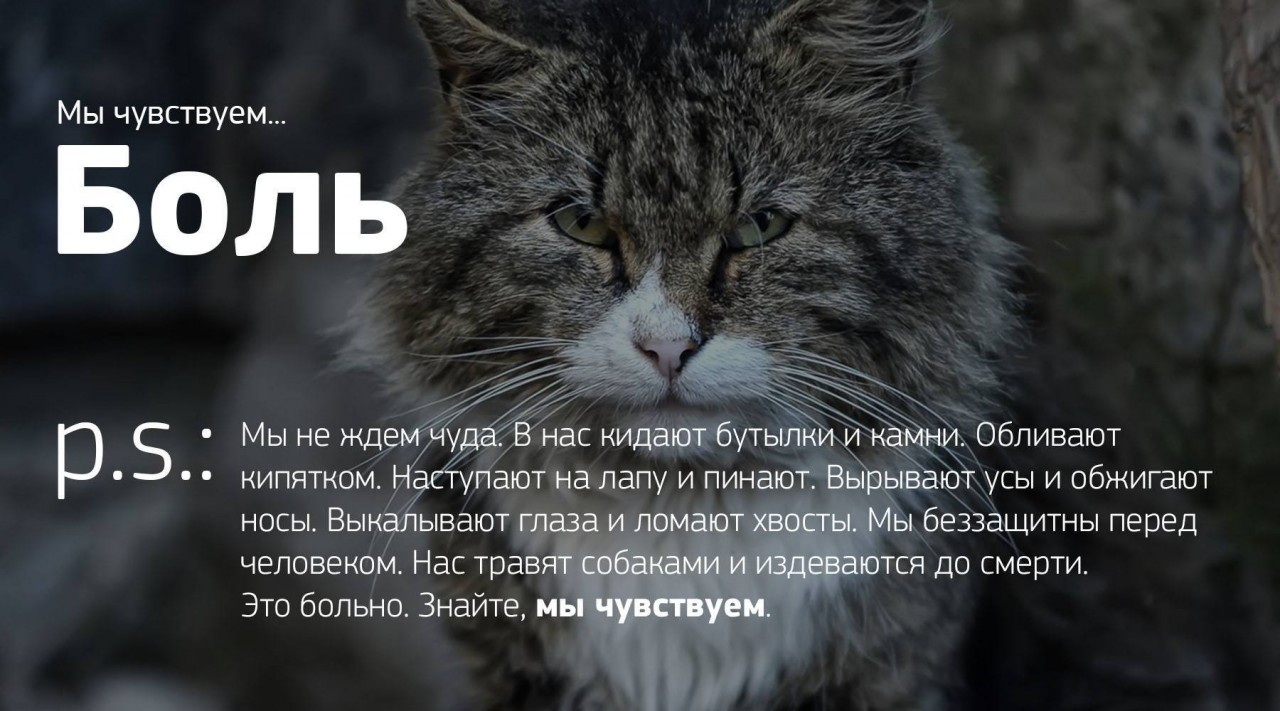 Мы чувствуем