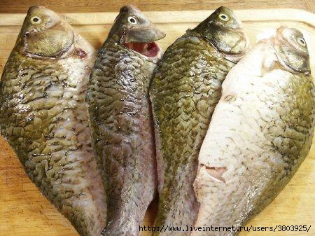 sxx10l6vqyt (450x337, 120Kb)