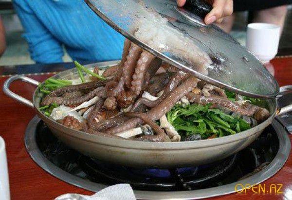 10 самых опасных блюд на планете 10 самых опасных блюд на планете