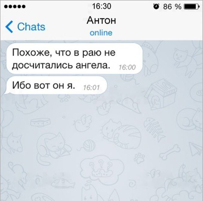16  ,    , , 