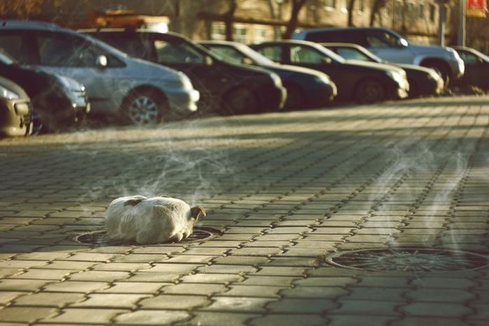 Невероятные фотографии,которые растрогают до слёз