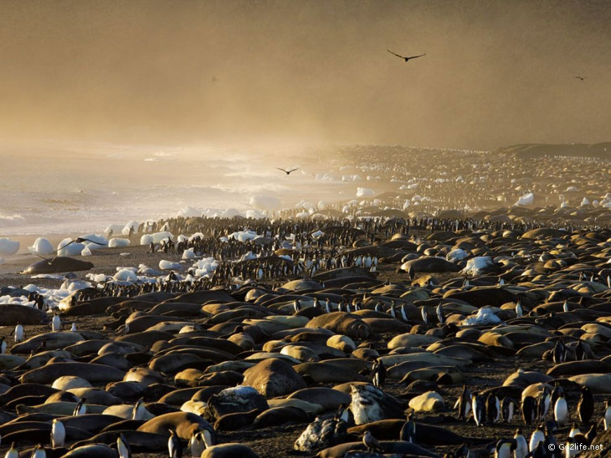 25 лучших фотографий National Geographic. Часть 2