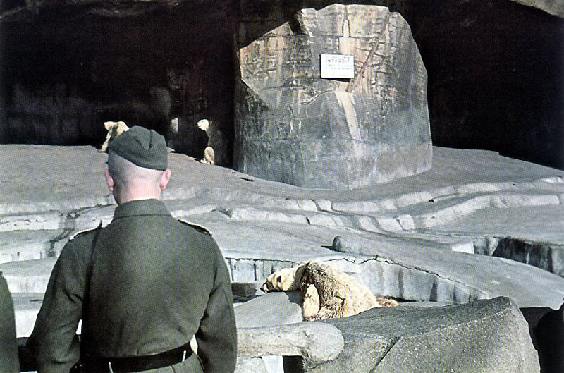 "Париж в оккупации 1941-44г". Эти фото поразили многих! "Париж в оккупации 1941-44г". Эти фото поразили многих! Прекрасная Франция, вторая мировая война, сопротивление