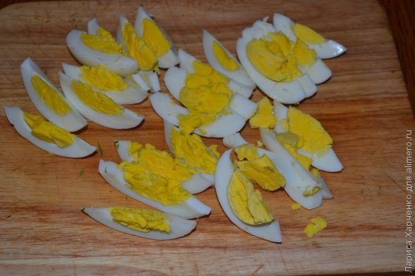 ������ �������