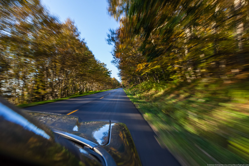 Мчим: Мчим: Blue Ridge Parkway, авто, автопутешествие, америка, дороги, сша