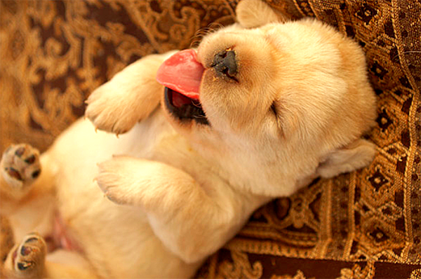 25 ������ ������, ����� ������� ���� �����