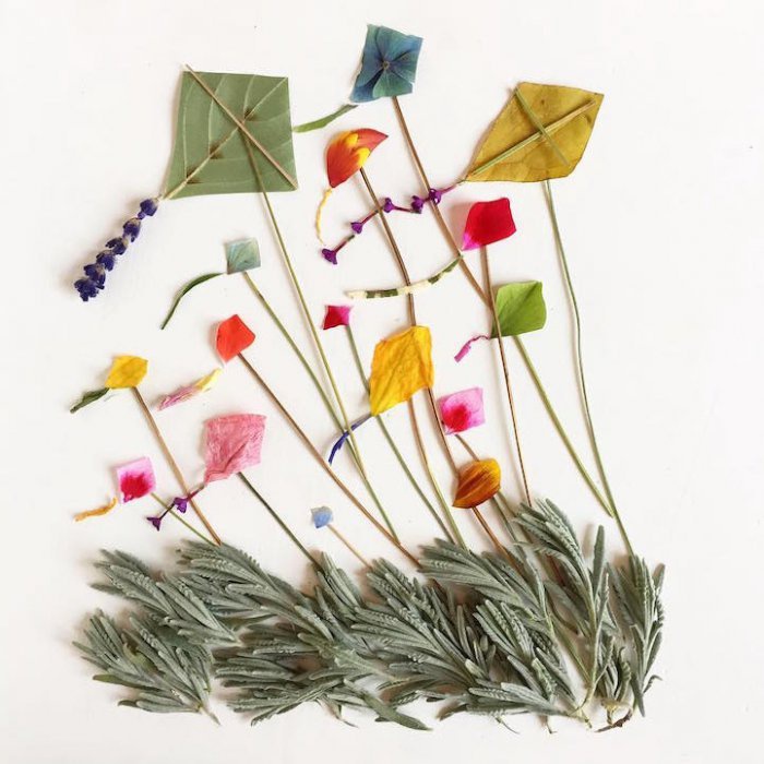 Bridget Beth Collins