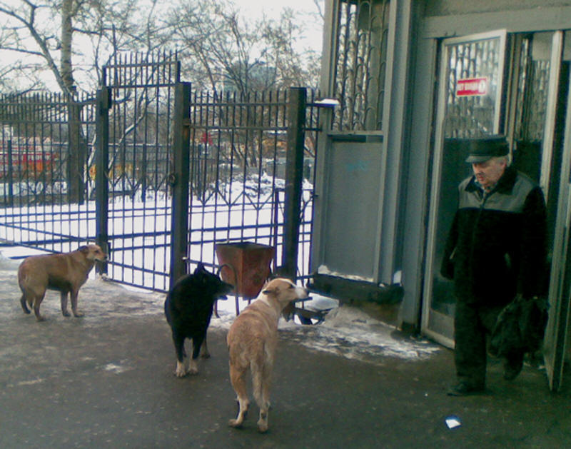 Американцы о русских