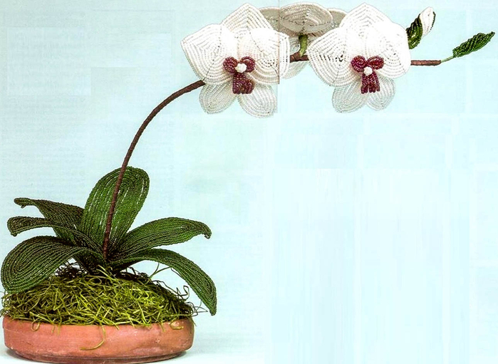 ����� �� ������. ������� (2) (700x511, 300Kb)