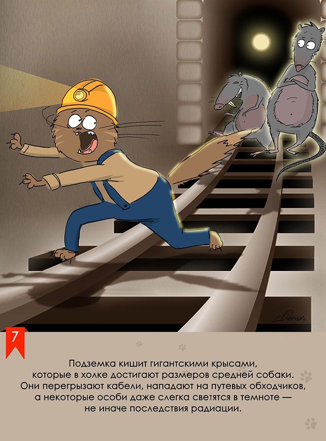 Bird Born: «Московское метро: мифы, легенды, факты»