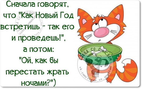 Не зря говорят как встретишь новый год так его и проведешь Не зря говорят как встретишь новый год так его и проведешь