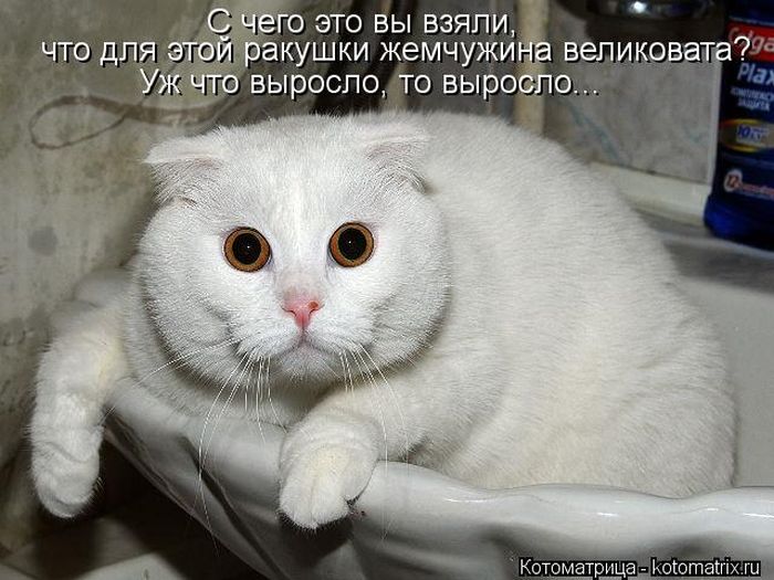   ... !