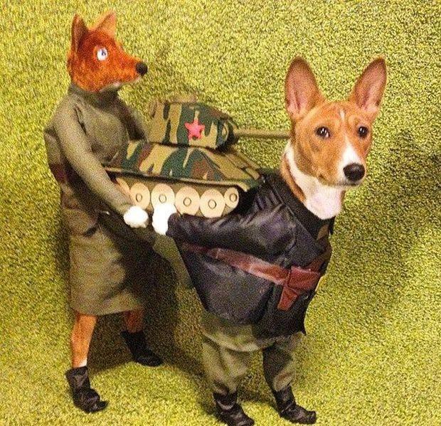 Подборка картинок Подборка картинок картинки, приколы