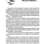 шьем шторы и подушки.page223