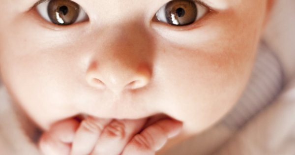 Иов-малыш - запись пользователя ulyawa (ulyawa) в сообществе Иов малыш при аденоидах: отзывы пациентов и врачей