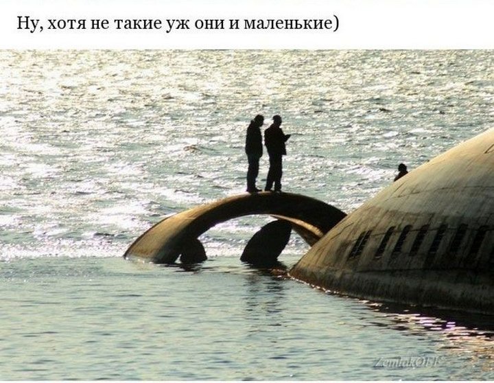 Легендарная подводная лодка «Акула» Легендарная подводная лодка «Акула»