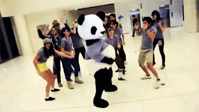 панда танцует