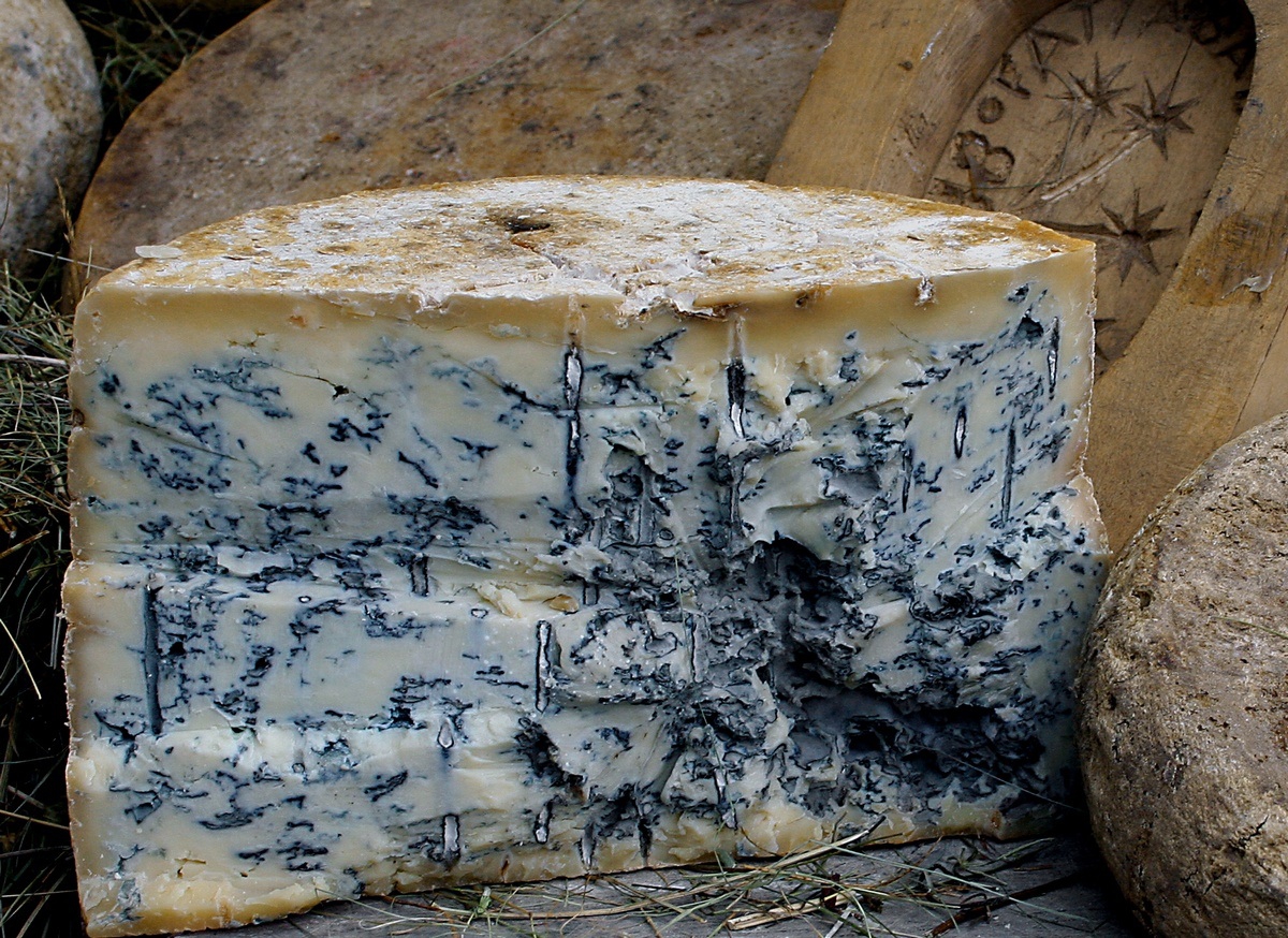 Рокфор(-Roquefort) - аристократ голубых кровей Рокфор(-Roquefort) - аристократ голубых кровей (39 фото)
