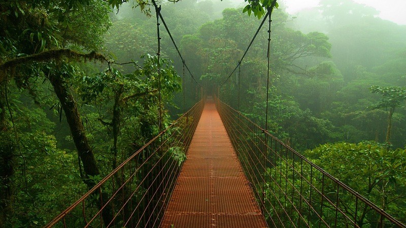 Большое фотопутешествие по лесам Амазонки Amazonas14 Большое фотопутешествие по лесам Амазонки
